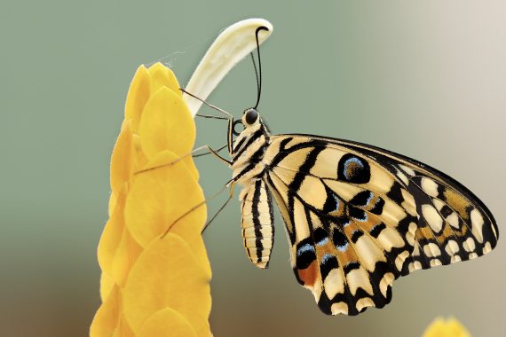 4 Ways Bold Vision 200206