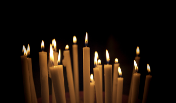 4 Ways to Bring Peace to Your World