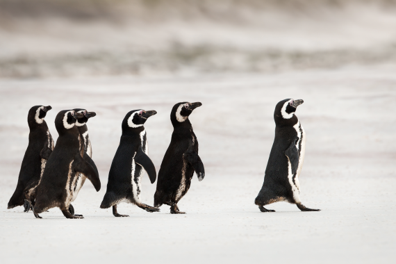 Leading by Example: The Power of a Fundraiser Who Gives