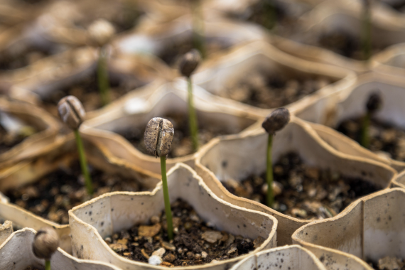 Leveraging Philanthropy to Seed Medical Science Research