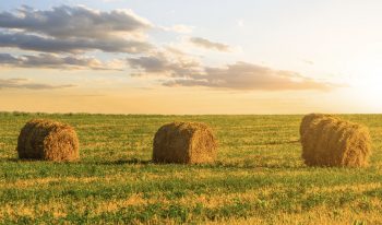 Outside-In Fundraising: 3 Keys to Equip Your Faculty for Success