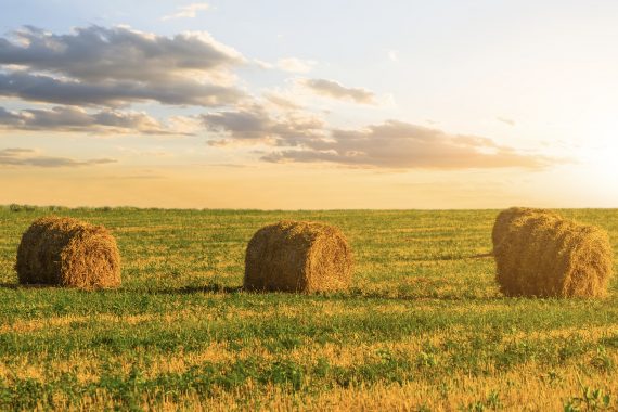 Outside-In Fundraising: 3 Keys to Equip Your Faculty for Success