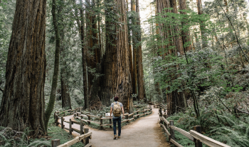 16x9 AR caleb jones 131206 unsplash