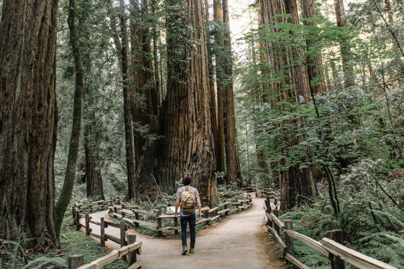 16x9 AR caleb jones 131206 unsplash