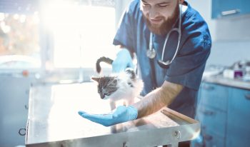 Deepening Engagement The Story of a Transformational Contribution