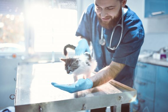 Deepening Engagement The Story of a Transformational Contribution