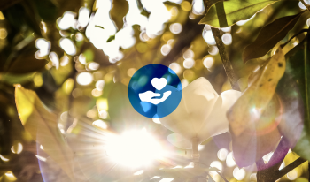 Key #1 Success in Healthcare Philanthropy Series—Major Gift Focus