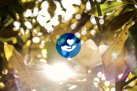 Key #1 Success in Healthcare Philanthropy Series—Major Gift Focus