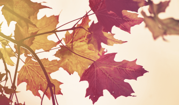 16x9 AR jon sailer Lzm 2ycRw0k unsplash