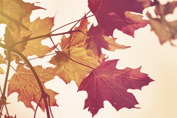 16x9 AR jon sailer Lzm 2ycRw0k unsplash