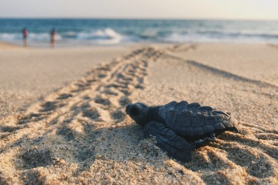 Is Resilience More than Just the New Buzzword?