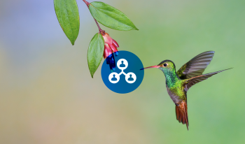 Ongoing Engagement by the C-Suite