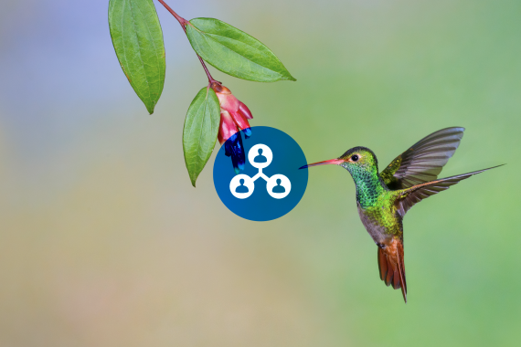 Ongoing Engagement by the C-Suite