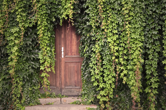 Securing the Elusive First Visit