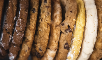 3 Ingredients for Establishing a Successful Planned Giving Program