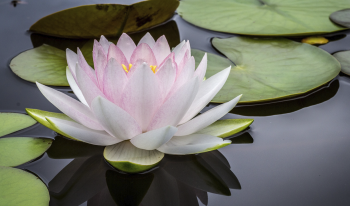 16x9 AR jay castor unsplash