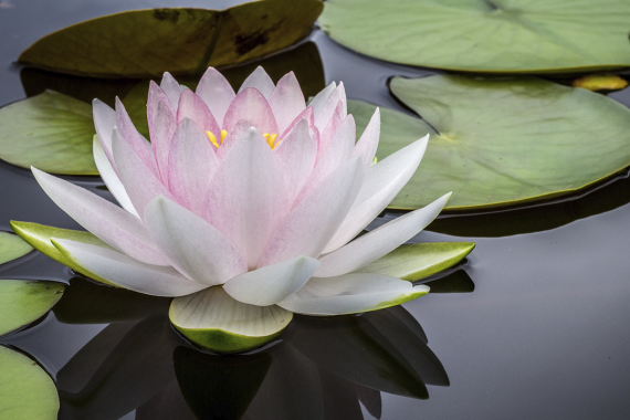 16x9 AR jay castor unsplash