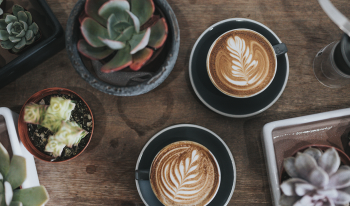 Nathan dumlao I 394sxx0ec unsplash