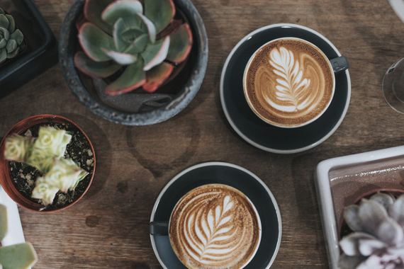 Nathan dumlao I 394sxx0ec unsplash