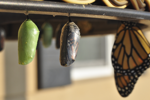 Suzanne d williams unsplash